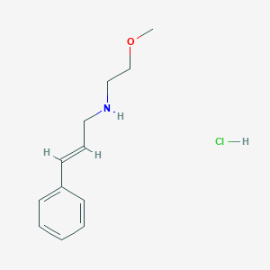 molecular formula C12H18ClNO B3086491 (2E)-N-(2-甲氧基乙基)-3-苯基-2-丙烯-1-胺盐酸盐 CAS No. 1159700-18-1
