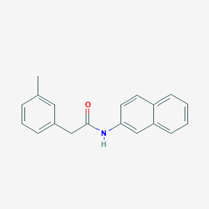 molecular formula C19H17NO B308656 2-(3-methylphenyl)-N-(2-naphthyl)acetamide 