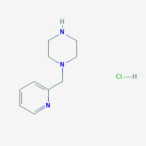 molecular formula C10H16ClN3 B3087518 1-吡啶-2-基甲基-哌嗪盐酸盐 CAS No. 1174310-77-0