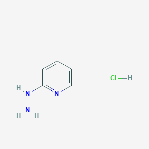 molecular formula C6H10ClN3 B3087951 2-肼基-4-甲基吡啶盐酸盐 CAS No. 117879-50-2