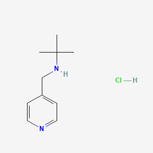 molecular formula C10H17ClN2 B3088330 tert-Butyl(4-pyridinylmethyl)amine hydrochloride CAS No. 1185150-94-0