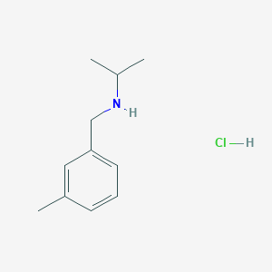 molecular formula C11H18ClN B3088346 N-(3-甲基苄基)-2-丙胺盐酸盐 CAS No. 1185164-44-6
