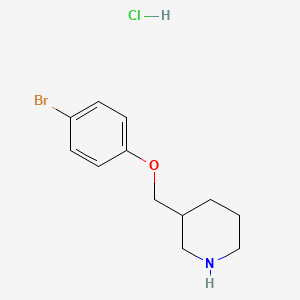 molecular formula C12H17BrClNO B3088483 3-[(4-Bromophenoxy)methyl]piperidine hydrochloride CAS No. 1185304-03-3