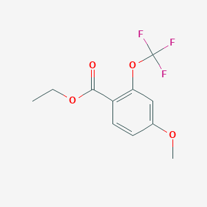 molecular formula C11H11F3O4 B3088725 Ethyl 4-methoxy-2-(trifluoromethoxy)benzoate CAS No. 1186195-26-5