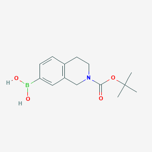 molecular formula C14H20BNO4 B3089137 2-(Tert-butoxycarbonyl)-1,2,3,4-tetrahydroisoquinolin-7-ylboronic acid CAS No. 1190058-21-9
