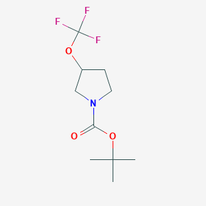 molecular formula C10H16F3NO3 B3090104 3-Trifluoromethoxy-pyrrolidine-1-carboxylic acid tert-butyl ester CAS No. 1206523-91-2