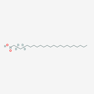 molecular formula C24H48O2 B3090221 (3,3,4,4-d4)-Docosanoic acid CAS No. 1208430-53-8