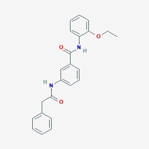 N-(2-ethoxyphenyl)-3-[(phenylacetyl)amino]benzamide