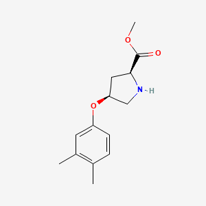 molecular formula C14H19NO3 B3091345 Methyl (2S,4S)-4-(3,4-dimethylphenoxy)-2-pyrrolidinecarboxylate CAS No. 1217671-82-3