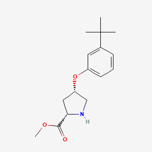 molecular formula C16H23NO3 B3091576 Methyl (2S,4S)-4-[3-(tert-butyl)phenoxy]-2-pyrrolidinecarboxylate CAS No. 1217822-32-6