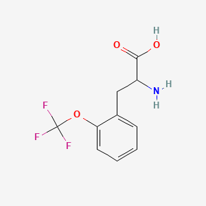 molecular formula C10H10F3NO3 B3091662 2-(Trifluoromethoxy)-DL-phenylalanine CAS No. 1218228-20-6