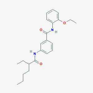 molecular formula C23H30N2O3 B309198 N-(2-ethoxyphenyl)-3-[(2-ethylhexanoyl)amino]benzamide 