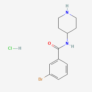 molecular formula C12H16BrClN2O B3092695 3-溴-N-(哌啶-4-基)苯甲酰胺盐酸盐 CAS No. 1233958-97-8