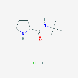molecular formula C9H19ClN2O B3092825 N-(叔丁基)-2-吡咯烷甲酰胺盐酸盐 CAS No. 1236259-22-5