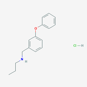 molecular formula C16H20ClNO B3093067 [(3-Phenoxyphenyl)methyl](propyl)amine hydrochloride CAS No. 1240566-59-9