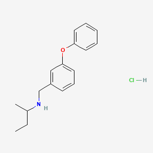 molecular formula C17H22ClNO B3093087 (丁烷-2-基)[(3-苯氧基苯基)甲基]胺盐酸盐 CAS No. 1240567-69-4
