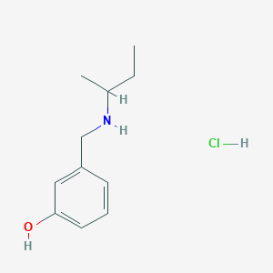 molecular formula C11H18ClNO B3093122 3-{[(Butan-2-yl)amino]methyl}phenol hydrochloride CAS No. 1240569-53-2