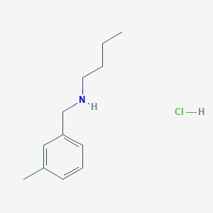 molecular formula C12H20ClN B3093147 Butyl[(3-methylphenyl)methyl]amine hydrochloride CAS No. 1240570-71-1
