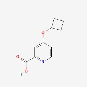 molecular formula C10H11NO3 B3093688 4-Cyclobutoxypyridine-2-carboxylic acid CAS No. 1247196-30-0