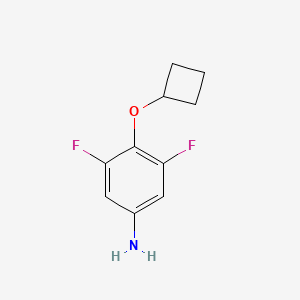 molecular formula C10H11F2NO B3093741 4-环丁氧基-3,5-二氟苯胺 CAS No. 1248130-27-9