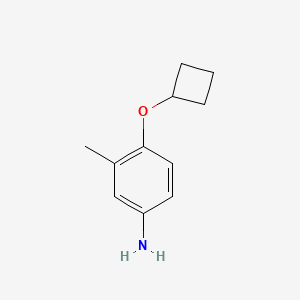 molecular formula C11H15NO B3093809 4-Cyclobutoxy-3-methylaniline CAS No. 1249475-95-3