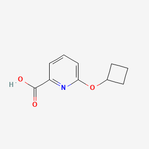 molecular formula C10H11NO3 B3093857 6-Cyclobutoxypyridine-2-carboxylic acid CAS No. 1250298-25-9