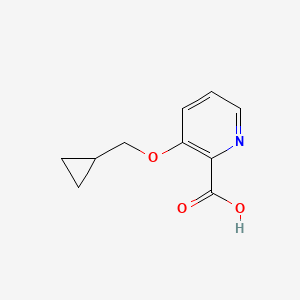 molecular formula C10H11NO3 B3093893 3-(Cyclopropylmethoxy)pyridine-2-carboxylic acid CAS No. 1250879-43-6