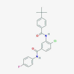 molecular formula C24H22ClFN2O2 B309399 3-[(4-tert-butylbenzoyl)amino]-4-chloro-N-(4-fluorophenyl)benzamide 