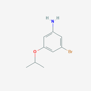 molecular formula C9H12BrNO B3093992 3-溴-5-异丙氧基苯胺 CAS No. 1251863-44-1