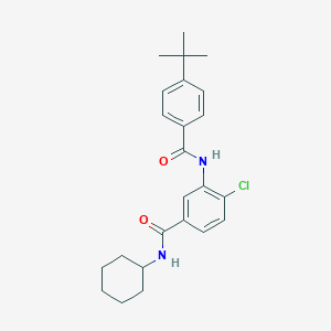 molecular formula C24H29ClN2O2 B309402 3-[(4-tert-butylbenzoyl)amino]-4-chloro-N-cyclohexylbenzamide 