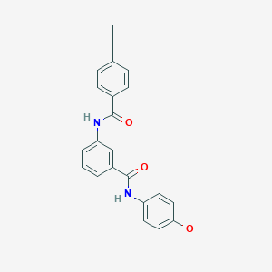 molecular formula C25H26N2O3 B309403 3-[(4-tert-butylbenzoyl)amino]-N-(4-methoxyphenyl)benzamide 