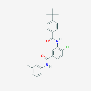 molecular formula C26H27ClN2O2 B309408 3-[(4-tert-butylbenzoyl)amino]-4-chloro-N-(3,5-dimethylphenyl)benzamide 