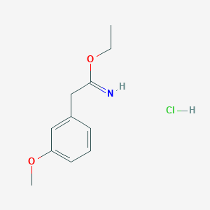 molecular formula C11H16ClNO2 B3094125 2-(3-甲氧苯基)乙酰亚胺盐酸乙酯 CAS No. 125532-68-5