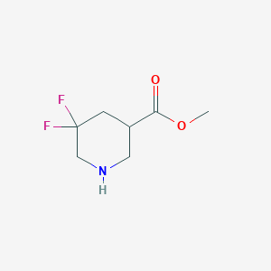 molecular formula C7H11F2NO2 B3094154 5,5-二氟哌啶-3-羧酸甲酯 CAS No. 1255667-31-2