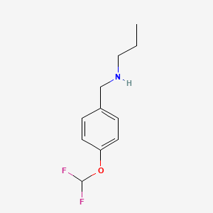 molecular formula C11H15F2NO B3094498 {[4-(Difluoromethoxy)phenyl]methyl}(propyl)amine CAS No. 1258695-50-9