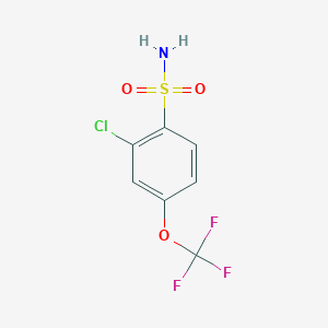 molecular formula C7H5ClF3NO3S B3095011 2-氯-4-(三氟甲氧基)苯磺酰胺 CAS No. 1261762-28-0