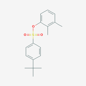 molecular formula C18H22O3S B309536 2,3-Dimethylphenyl 4-tert-butylbenzenesulfonate 