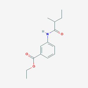 molecular formula C14H19NO3 B309542 Ethyl 3-[(2-methylbutanoyl)amino]benzoate 