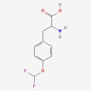 molecular formula C10H11F2NO3 B3095425 2-amino-3-[4-(difluoromethoxy)phenyl]propanoic Acid CAS No. 126300-89-8