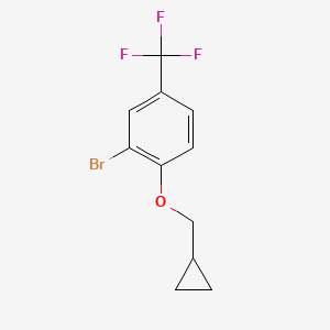 molecular formula C11H10BrF3O B3095640 2-Bromo-1-cyclopropylmethoxy-4-trifluoromethyl-benzene CAS No. 1268511-86-9