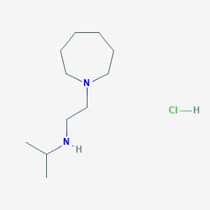 molecular formula C11H25ClN2 B3095774 N-[2-(1-Azepanyl)ethyl]-2-propanamine hydrochloride CAS No. 1269052-90-5