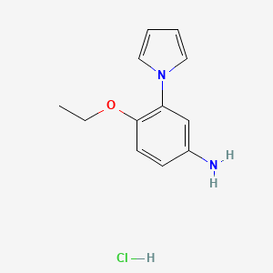 molecular formula C12H15ClN2O B3095835 [4-ethoxy-3-(1H-pyrrol-1-yl)phenyl]amine hydrochloride CAS No. 1269105-69-2