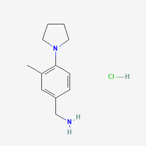 molecular formula C12H19ClN2 B3095881 1-[3-甲基-4-(1-吡咯烷基)苯基]甲胺盐酸盐 CAS No. 1269188-81-9