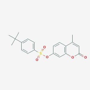 molecular formula C20H20O5S B309704 4-methyl-2-oxo-2H-chromen-7-yl 4-tert-butylbenzenesulfonate 