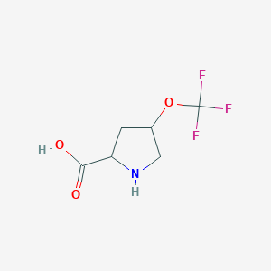 4-Trifluoromethoxy-pyrrolidine-2-carboxylic acid