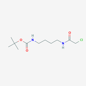 molecular formula C11H21ClN2O3 B3098267 叔丁基-N-[4-(2-氯乙酰氨基)丁基]氨基甲酸酯 CAS No. 133264-58-1