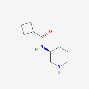 molecular formula C10H18N2O B3098294 N-[(3S)-piperidin-3-yl]cyclobutanecarboxamide CAS No. 1332920-58-7