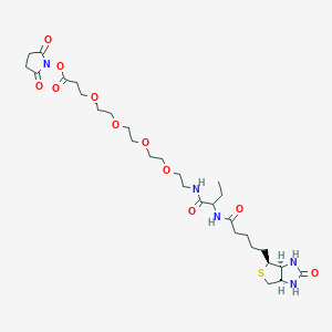 molecular formula C29H47N5O11S B3098342 18-Biotinamino-17-oxo-4,7,10,13-tetraoxa-16-azaicosan-1-oic acid succinimidyl ester CAS No. 1334172-61-0