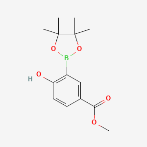 molecular formula C14H19BO5 B3098848 Methyl 4-hydroxy-3-(4,4,5,5-tetramethyl-1,3,2-dioxaborolan-2-YL)benzoate CAS No. 1345014-21-2