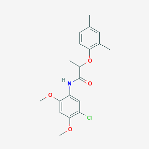 molecular formula C19H22ClNO4 B309885 N-(5-chloro-2,4-dimethoxyphenyl)-2-(2,4-dimethylphenoxy)propanamide 